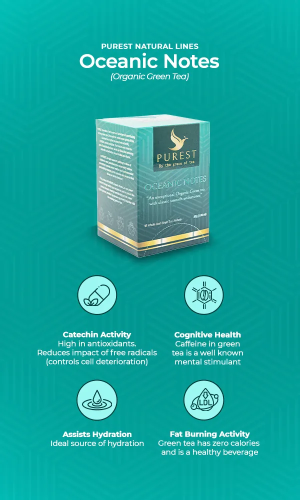 Purest_Web-Mobile_Oceanic-Notes (1)